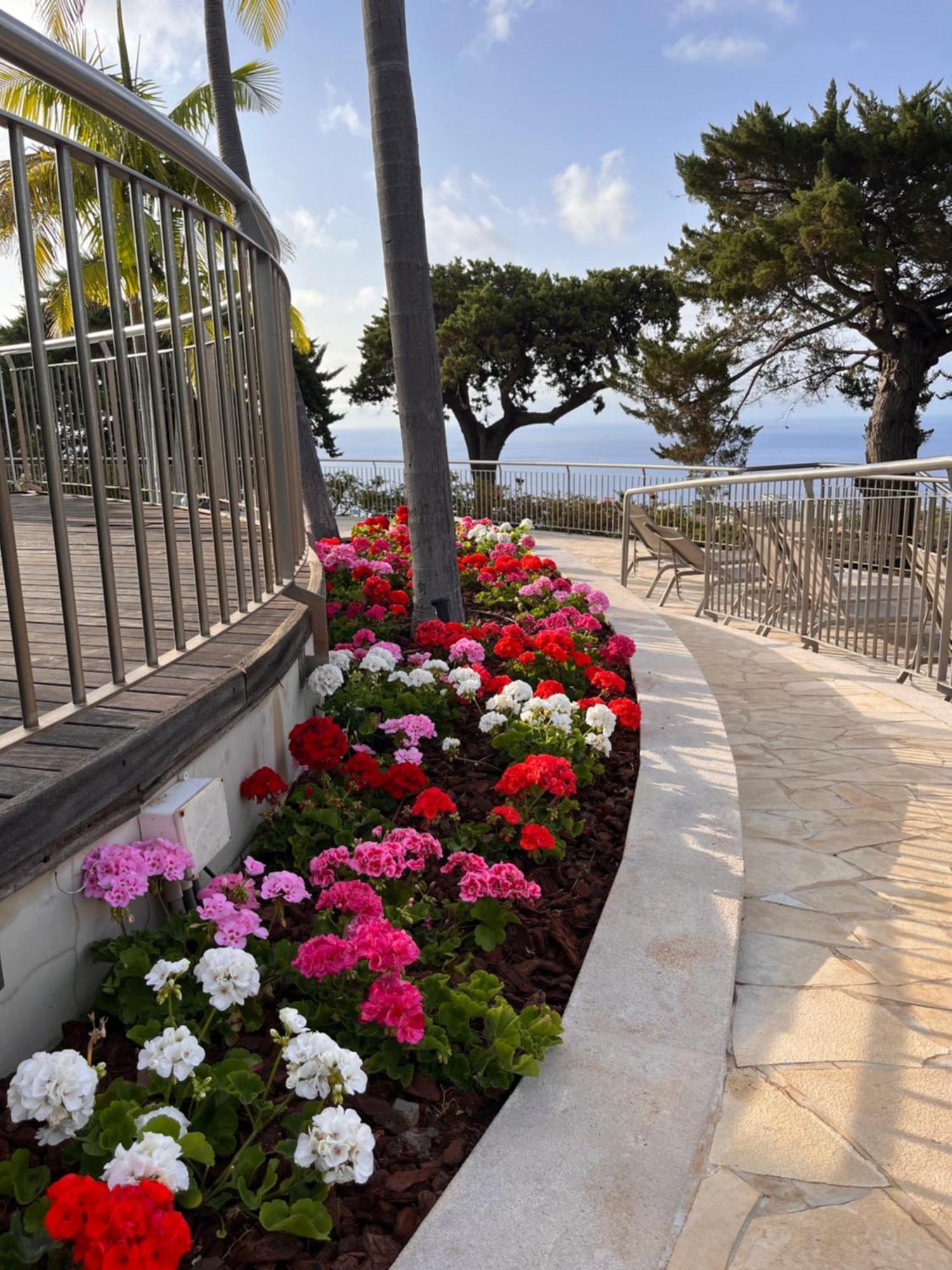 Quinta Funchal Gardens - Adults Only Hotel Exterior photo